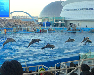 名古屋港水族館